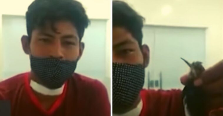 Pássaro perfura garganta de motociclista