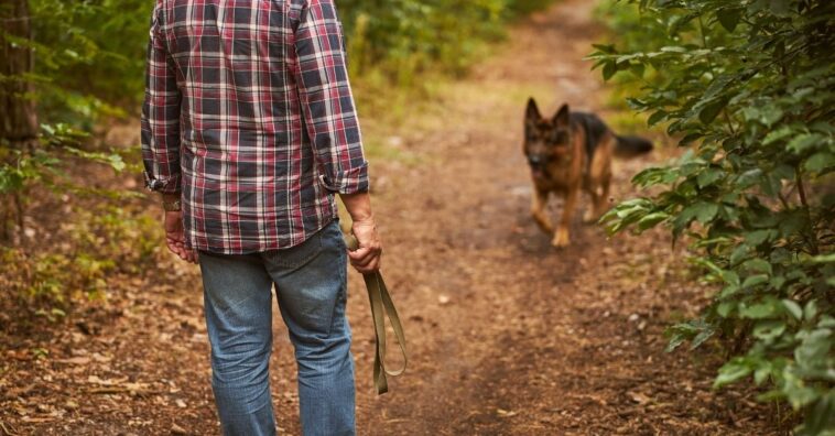 Passear com cachorro