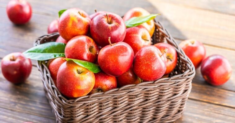 Pesquisa aponta benefícios da maçã contra alzheimer
