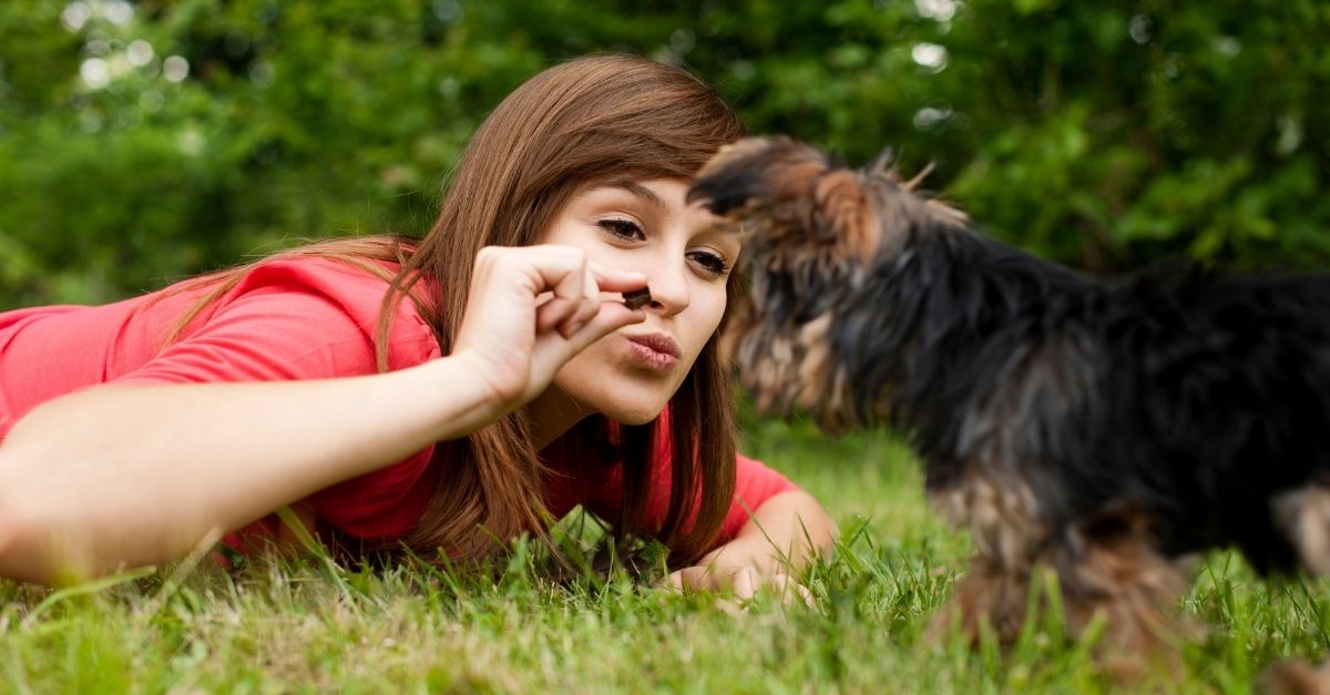 Petisco para cachorro