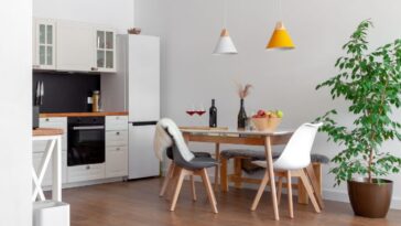 Plantas altas para ter dentro de casa