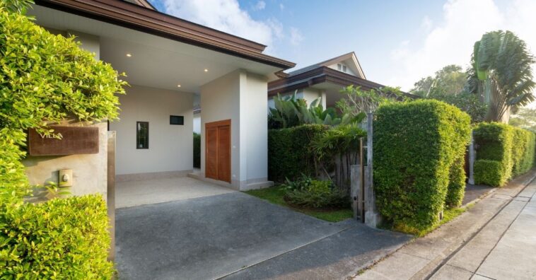 como escolher Plantas para cerca viva