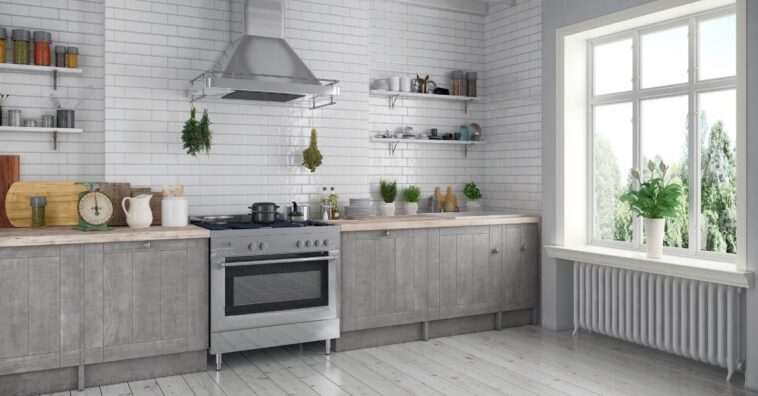 Plantas para colocar na cozinha