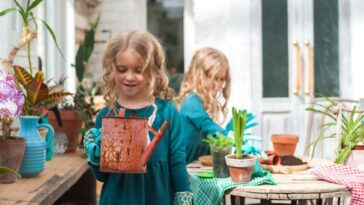 Plantas para refrescar sua casa no calor