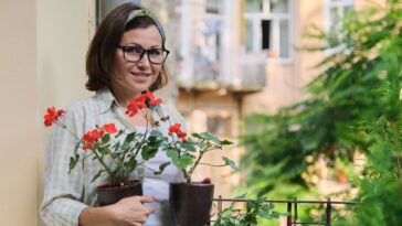 Plantas para ter numa varanda sem sol