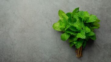 Plantas para crescer cabelo