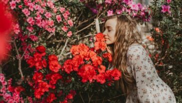 Plantas que vão deixar sua casa mais feliz