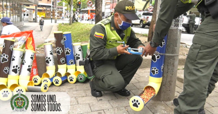 Policiais fazem comedouros de cachorro na rua para ajudar animais abandonados