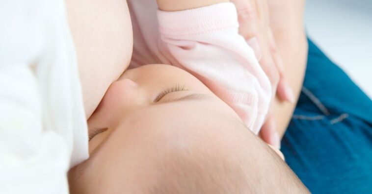 Professor proíbe aluna de amamentar durante aula online