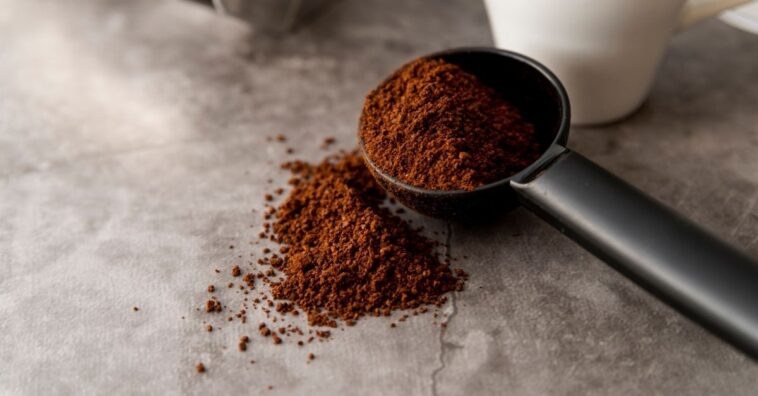 Receita com borra de café para espantar moscas