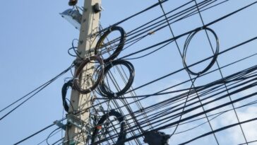 Sinais de que fizeram um gato