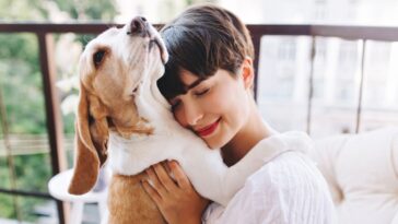 Sinais que o seu cachorro é feliz