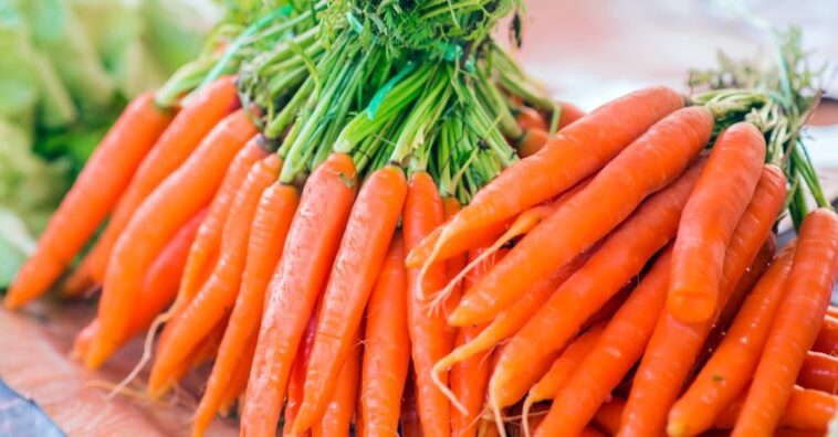 Tipos de cenoura