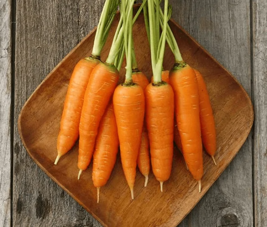 Tipos de cenoura: elas variam em formato, cor e sabor