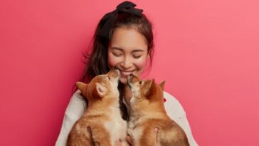 Tratar animal de estimação como se fosse seu bebê