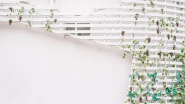 Treliça para trepadeiras