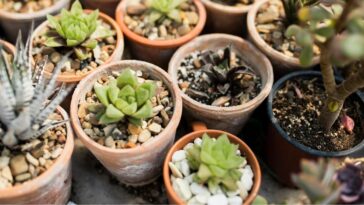 Vaso de barro esbranquiçado