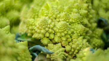 Vegetais bonitos para decoração da casa e do jardim