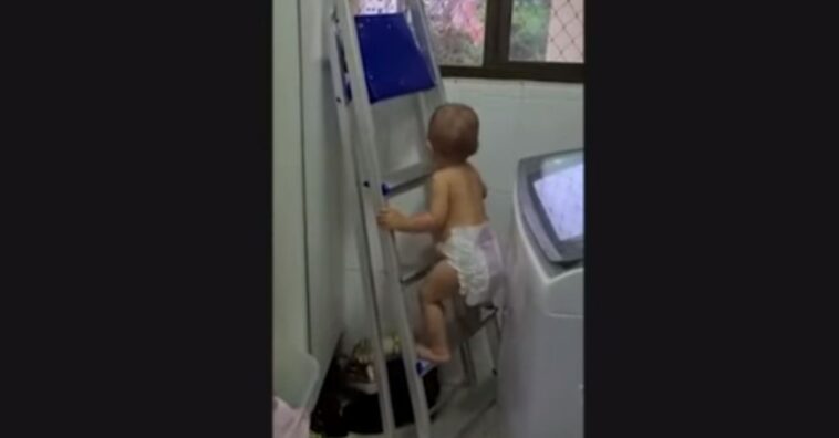 Vídeo de bebê subindo escada para ver janela viraliza