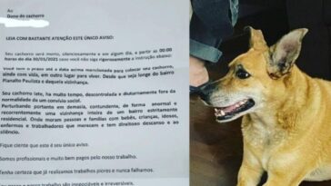 Vizinhos pedem ajuda depois que seus cães foram jurados de morte