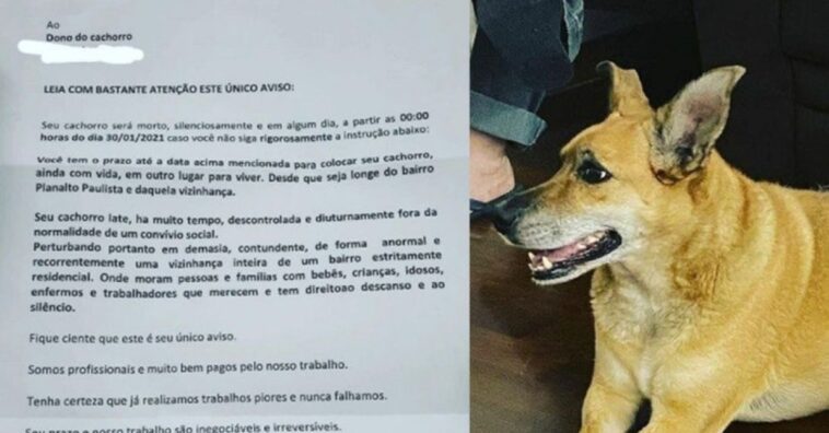 Vizinhos pedem ajuda depois que seus cães foram jurados de morte