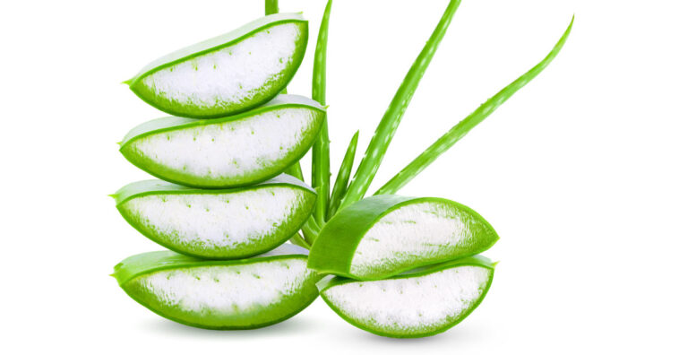 Xarope de babosa benefícios e como usar