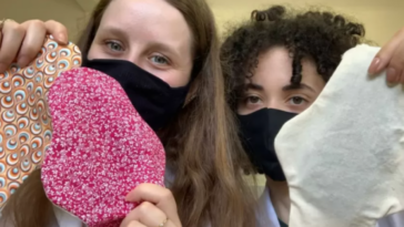 absorvente biodegradavel