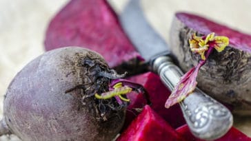 açúcar de beterraba