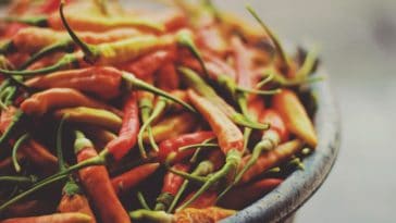 alimentos que aceleram o envelhecimento