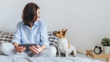 adotar animais na quarentena