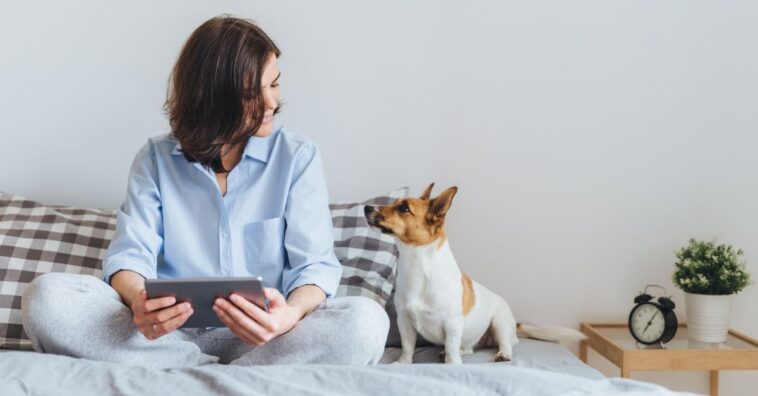 adotar animais na quarentena