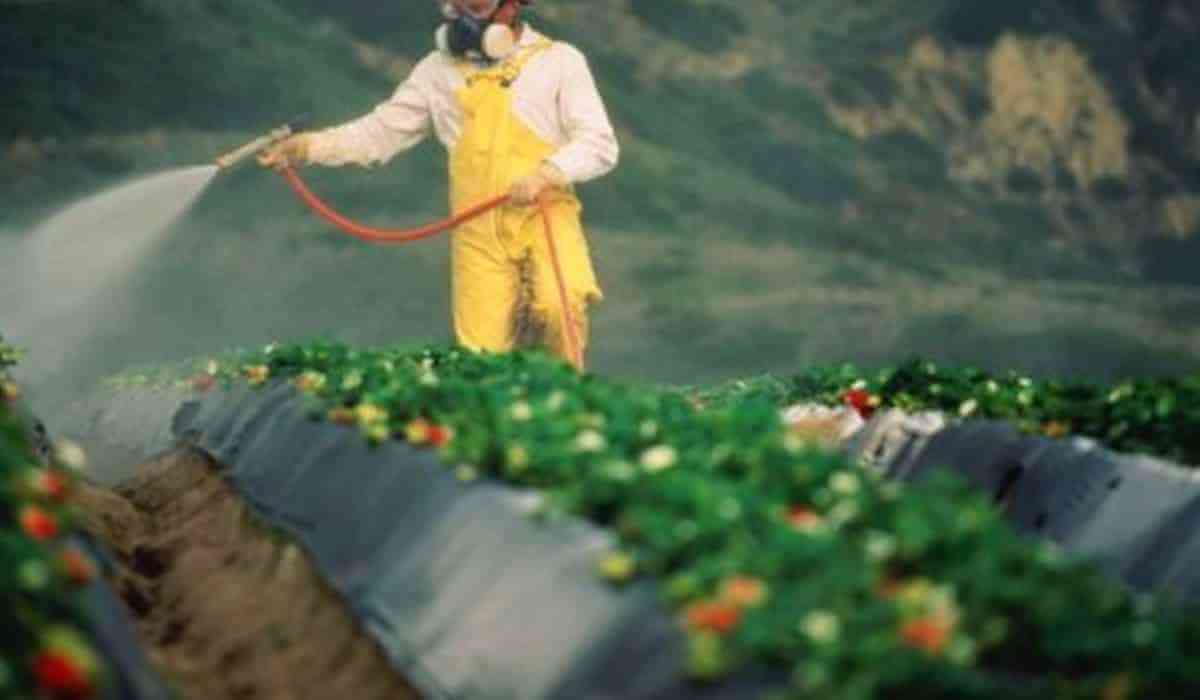 agrotoxico1