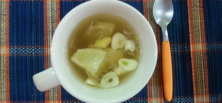 alho como antibiótico natural