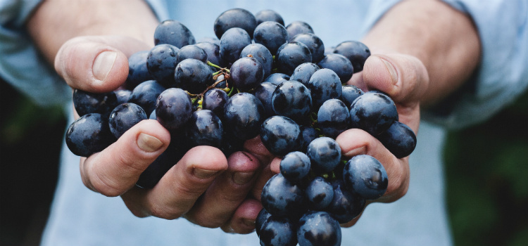 alimentos alcalinizantes uva