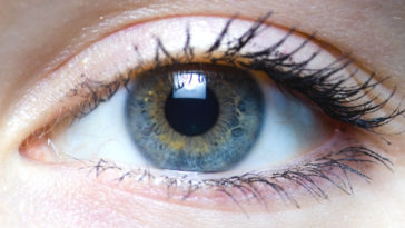 alimentos bons para a visao