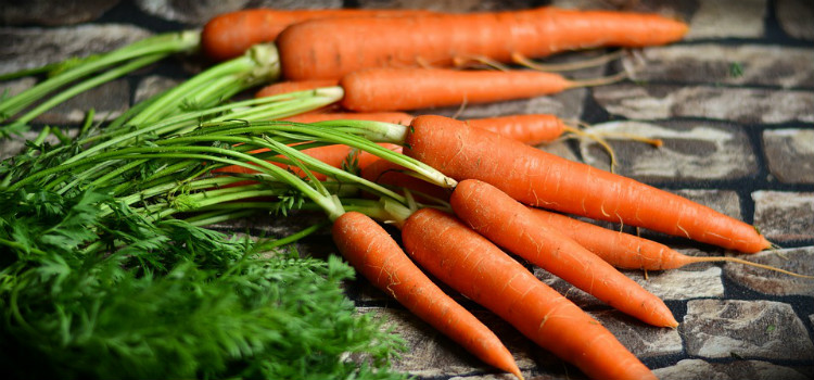 alimentos bons para a visao cenoura