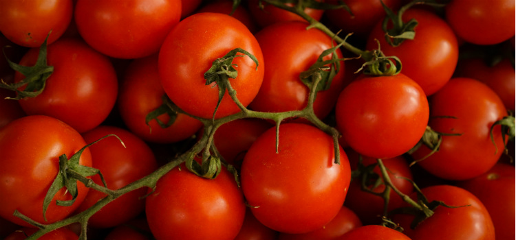  tomate