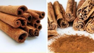 alimentos falsificados