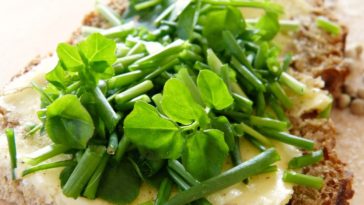 alimentos para anemia