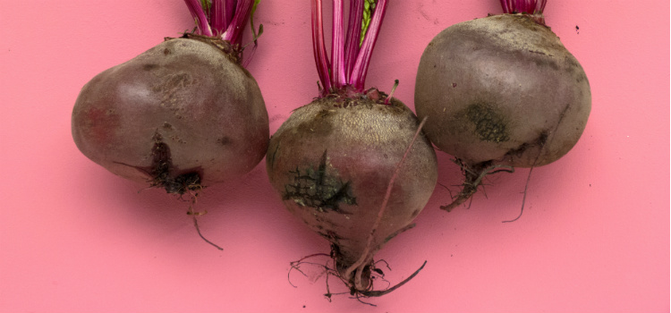 alimentos que não devem ser requentados beterraba