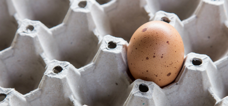 alimentos que não devem ser requentados ovo