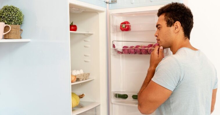 alimentos que não vão na geladeira