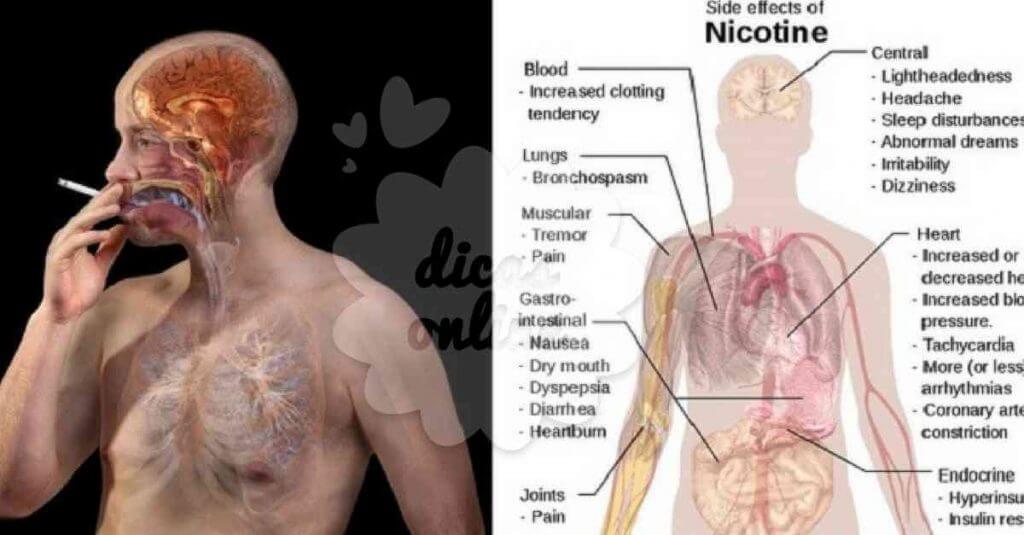 alimentos-reduzem-nicotina