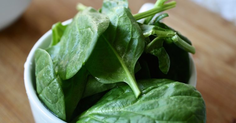 alimentos ricos em ácido fólico