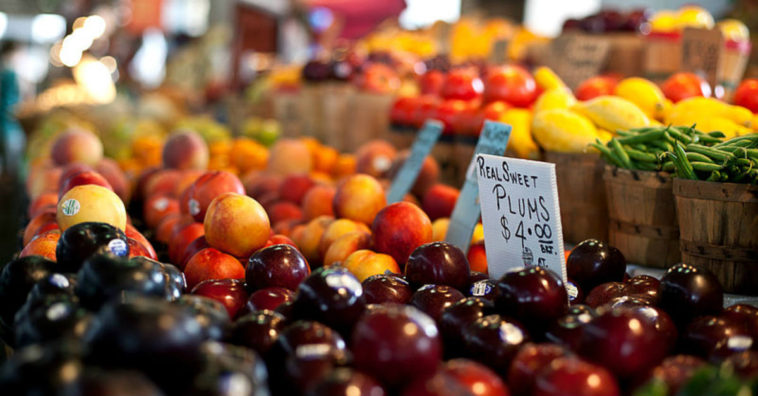 alimentos ricos em fibras