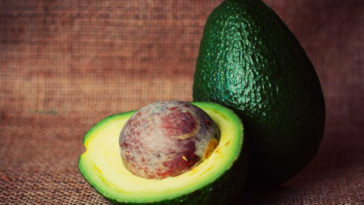 alimentos ricos em lipidios