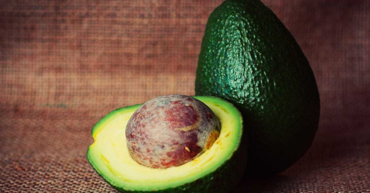 alimentos ricos em lipidios