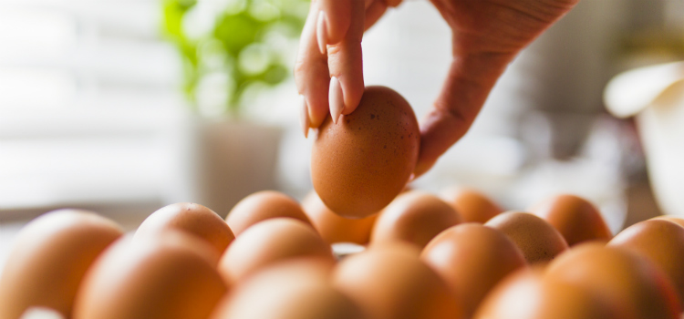 alimentos ricos em proteína ovo