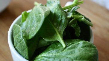 alimentos ricos em ácido fólico