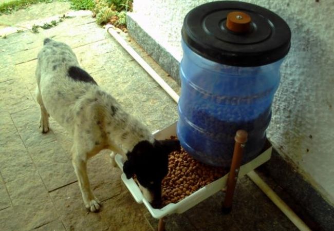 comedouro cachorro grande